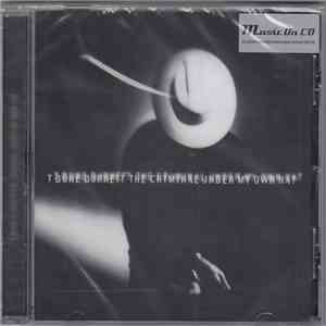 T Bone Burnett - The Criminal Under My Own Hat download mp3