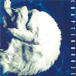 Chapterhouse - Whirlpool download mp3