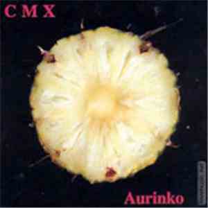 CMX - Aurinko download mp3