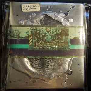 NP Vs. Thirdorgan - NP Vs. Thirdorgan Ver.1 download mp3