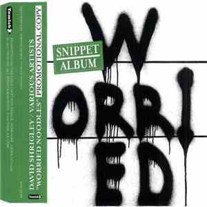 David Shrigley / Various - David Shrigley's Worried Noodles (Snippet Album) download mp3