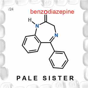 Pale Sister - Benzodiazepine download mp3