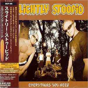 Slightly Stoopid - Everything You Need download mp3