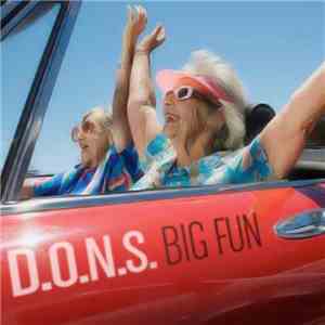 D.O.N.S. - Big Fun download mp3