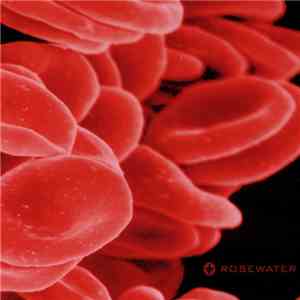 Rosewater - Bloodcount download mp3
