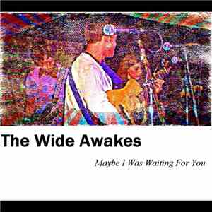 The Wide Awakes - Maybe I Was Waiting For You mp3 download