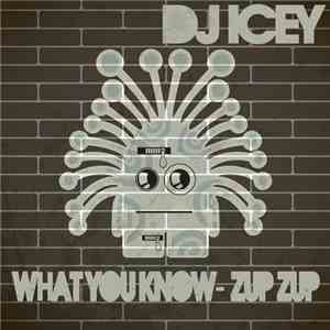 DJ Icey - What You Know / Zup Zup download mp3