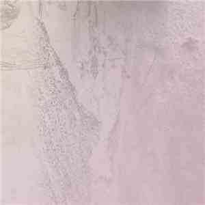 Entrancer - No Borders download mp3