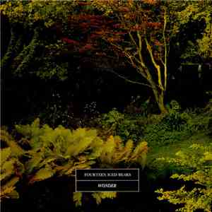 Fourteen Iced Bears - Wonder download mp3