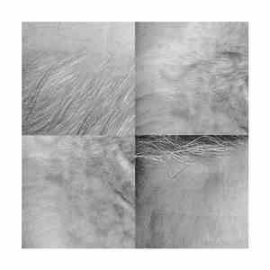 Steve Roden - (For) download mp3