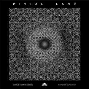 Younion - Pineal Land download mp3