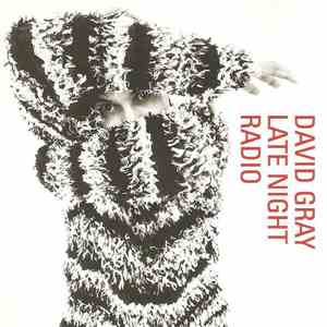 David Gray - Late Night Radio download mp3