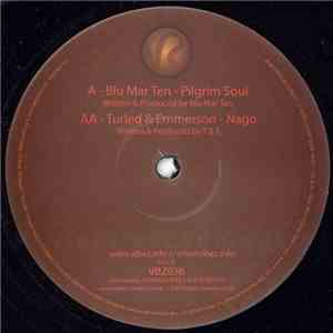 Blu Mar Ten + Turled & Emmerson  - Pilgrim Soul / Nago download mp3