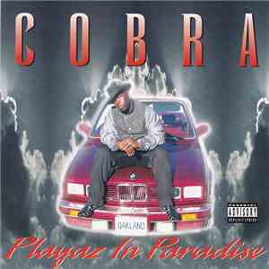 Cobra  - Playaz In Paradise download mp3