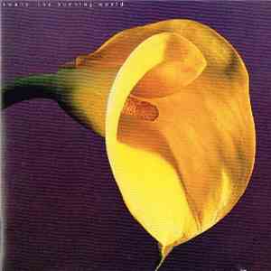 Swans - The Burning World mp3 download