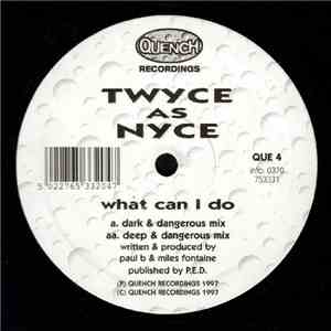 Twyce As Nyce - What Can I Do download mp3