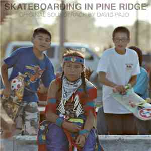 David Pajo - Skateboarding In Pine Ridge (Original Soundtrack) download mp3