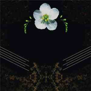 Novelist - Drosera download mp3
