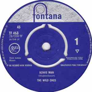 The Wild Ones  - Bowie Man download mp3