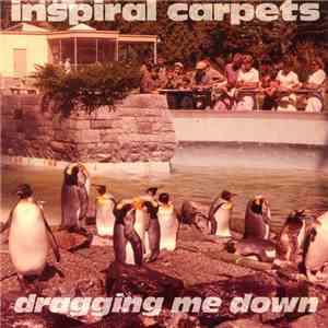 Inspiral Carpets - Dragging Me Down download mp3