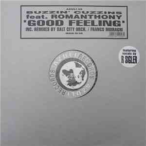 Buzzin' Cuzzins Feat. Romanthony - Good Feeling download mp3
