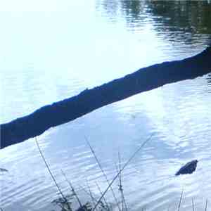 Grand Canonical Ensemble - We Were Wrong mp3 download