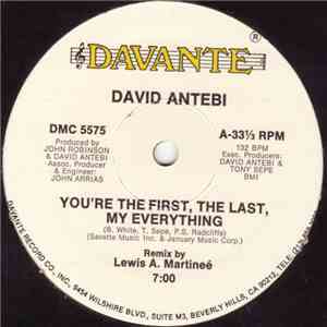 David Antebi - You're The First, The Last, My Everything download mp3