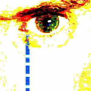Photosynthesi - Tears Roll Down download mp3