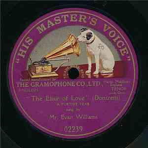 Evan Williams  - The Elixir Of Love download mp3
