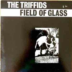 The Triffids - Field Of Glass mp3 download