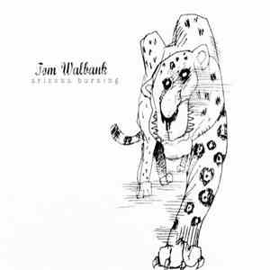 Tom Walbank - Arizona Burning download mp3