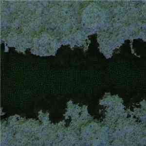 Shahrokh Dini - Jupiter EP download mp3