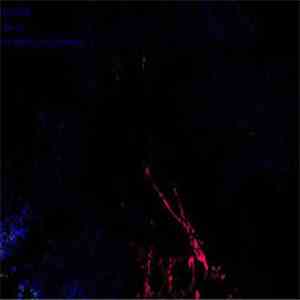 Fm-Ra - Morphing Organisms download mp3