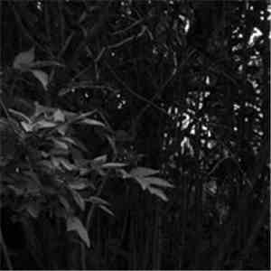 Gall - Gall download mp3