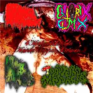 KxPxLxSxTxTxKx, ToadTurdMassacre, Groovy Porno Grind For The Gentlemens, ClitoriX ClimaX - 4 Kertomusta Siitä Kuinka Tappaa Ihminen mp3 download