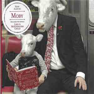 Moby - Everything Was Beautiful And Nothing Hurt download mp3