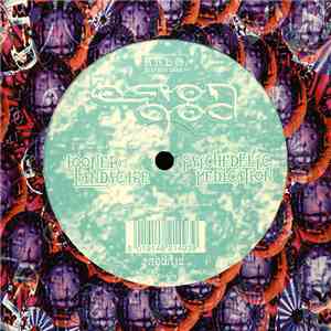 Esion God - Looner Landscape / Psychedelic Medication download mp3