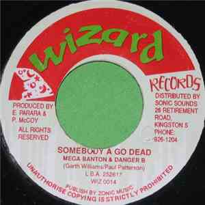 Mega Banton & Danger B - Somebody A Go Dead download mp3