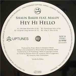 Shaun Baker Feat. Maloy - Hey Hi Hello download mp3