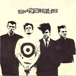 The Sting-Rays - Don't Break Down download mp3