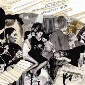 Caesars - Strawberry Weed download mp3