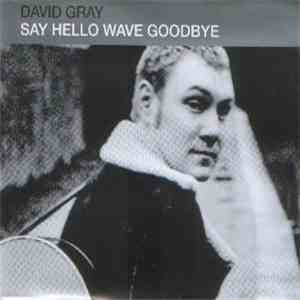 David Gray - Say Hello Wave Goodbye download mp3