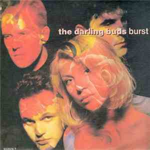 The Darling Buds - Burst download mp3
