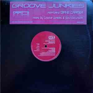 Groove Junkies Featuring Diane Carter - Don't Cha Give Up download mp3