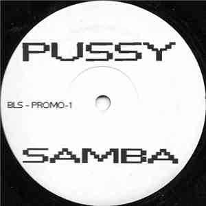 Unknown Artist - Pussy Samba download mp3