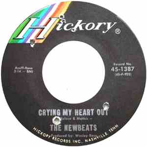 The Newbeats - Crying My Heart Out download mp3