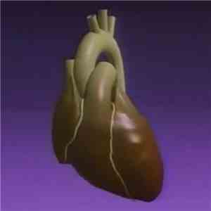 ΣPSON - Heart & Soul download mp3