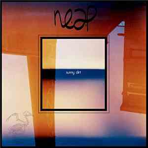 neap - Sunny Dirt download mp3