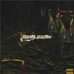 Phalo Pantoja - Essential Selection download mp3