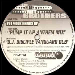 The Black And White Brothers - Put Your Hands Up download mp3